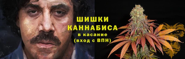 эйфоретик Магас