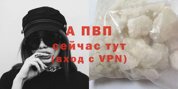 эйфоретик Магас