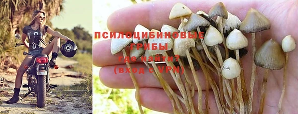 эйфоретик Магас