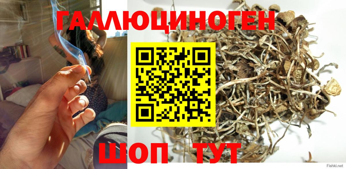Псилоцибиновые грибы Magic Shrooms  Вход с VPN  Псилоцибиновые грибы MAGIC MUSHROOMS  Энгельс 