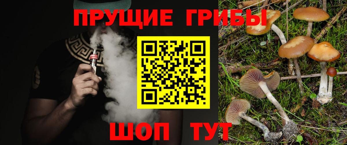 Псилоцибиновые грибы ЛСД  Энгельс 