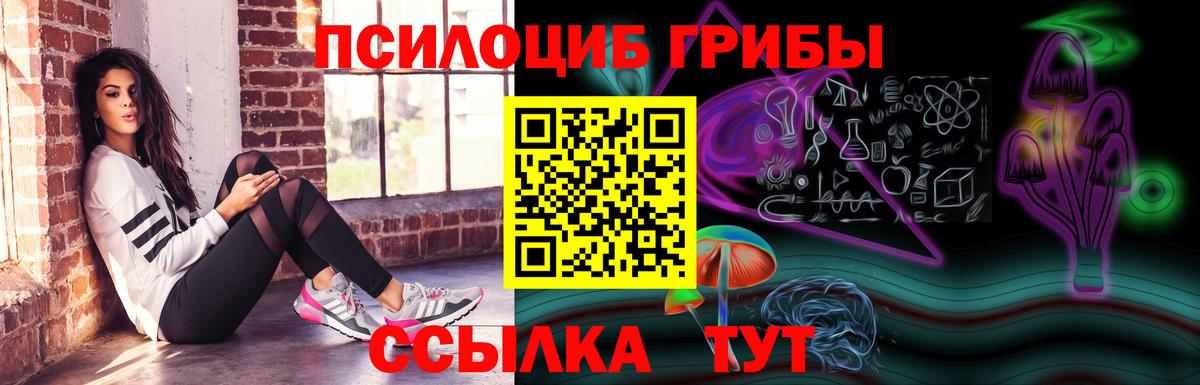 Псилоцибиновые грибы мухоморы Энгельс