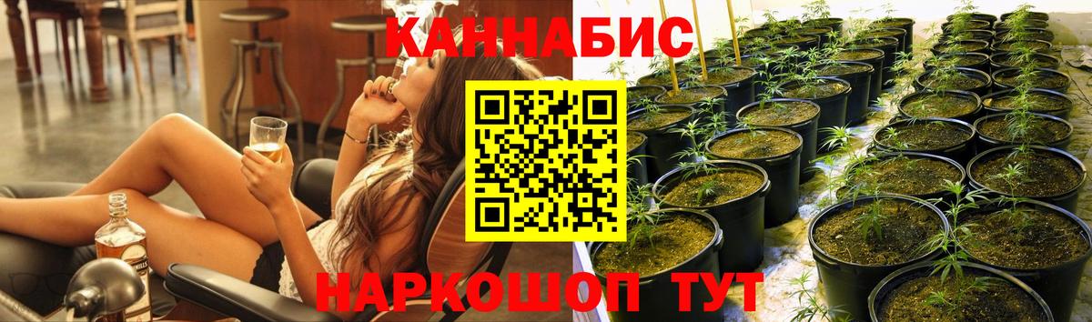 Каннабис Amnesia Энгельс